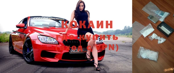 apvp Алзамай