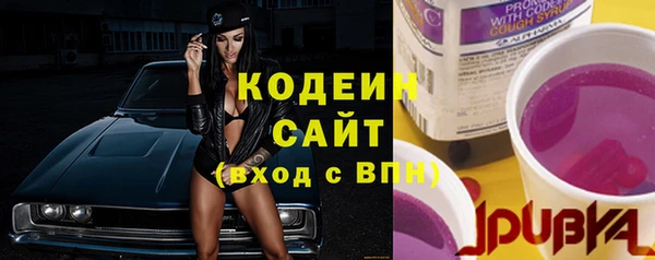 apvp Алзамай