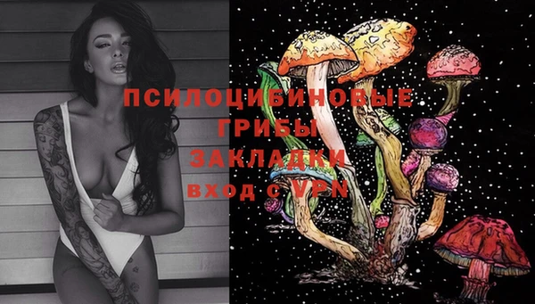 apvp Алзамай