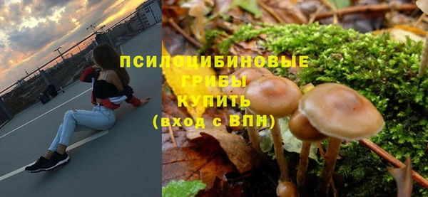 прущий лед Алексеевка