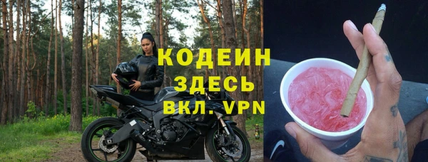 apvp Алзамай
