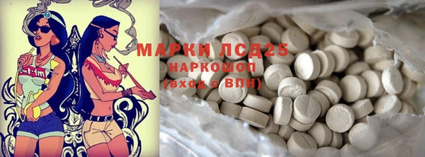 apvp Алзамай